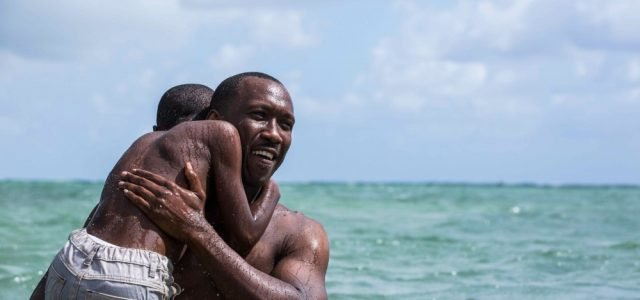 Moonlight & American Honey Lead Spirit Award Nominations