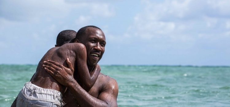 Moonlight & American Honey Lead Spirit Award Nominations