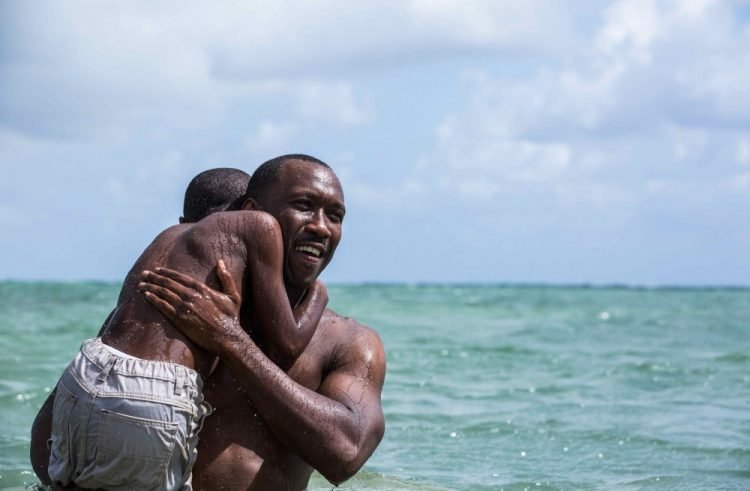 Moonlight & American Honey Lead Spirit Award Nominations