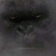 The King Is Back In New Kong: Skull Island Trailer