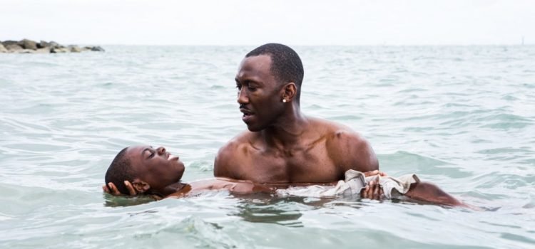 Spellbinding New Moonlight UK Trailer Released