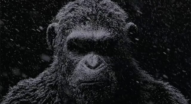 Bad Ape – A New War For The Planet Of The Apes Clip Arrives