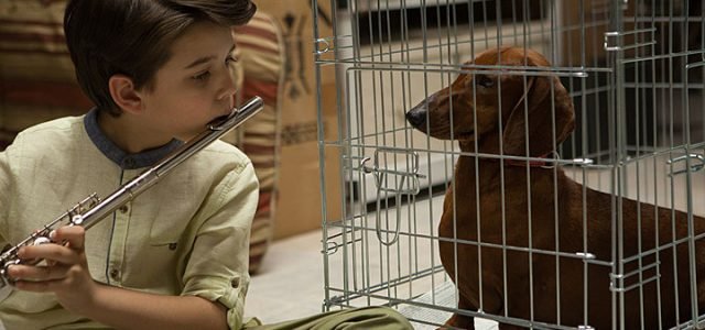 Wiener Dog (2016) DVD Review