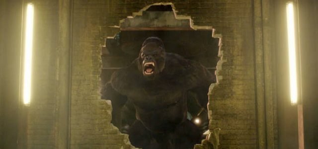 Grodd Returns In The Flash Promo For Attack On Gorilla City!