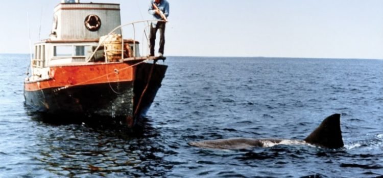 Vue Cinemas Present Shark Week 2017