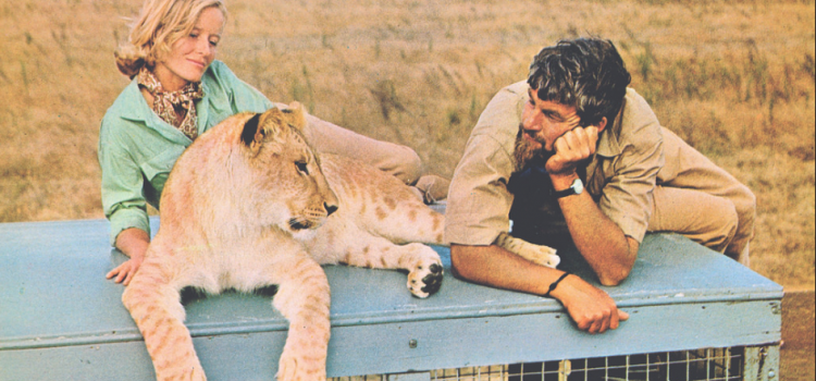 Born Free Set For Eureka Entertainment Blu-Ray Release