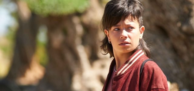 The Olive Tree Home Entertainment Release Details