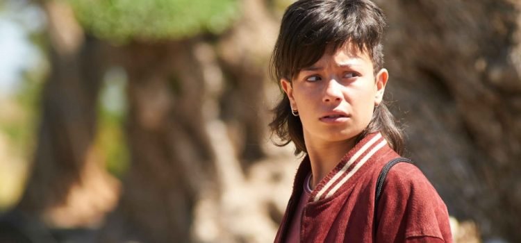 The Olive Tree Home Entertainment Release Details