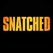 Snatched (2017) Review