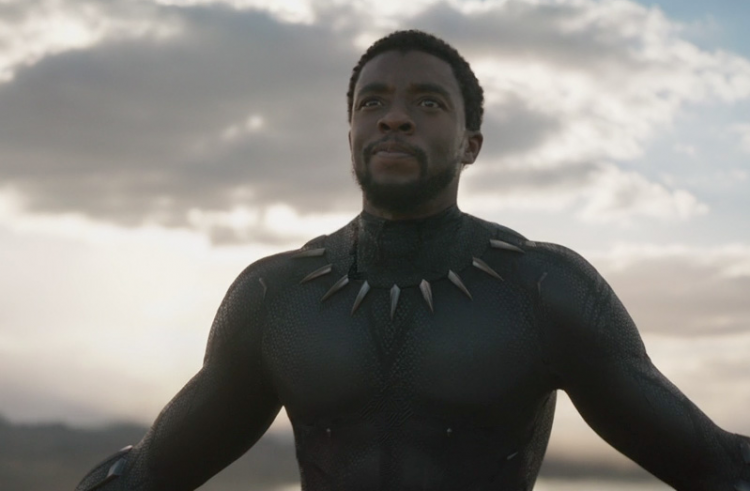 Black Panther: The New Age Of The Superhero