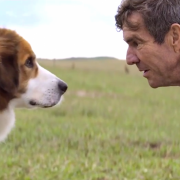 A Dog’s Purpose Home Entertainment Release Details