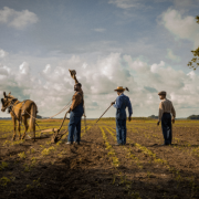 First Trailer Released For Mudbound Starring Carey Mulligan