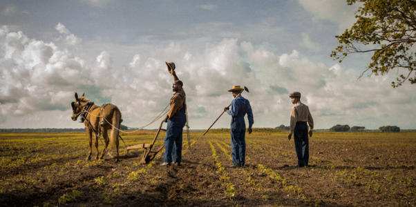 First Trailer Released For Mudbound Starring Carey Mulligan
