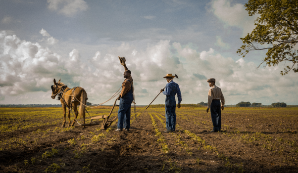 First Trailer Released For Mudbound Starring Carey Mulligan