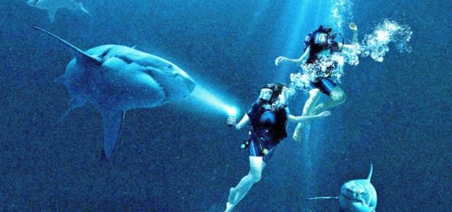 47 Metres Down Home Entertainment Release Details