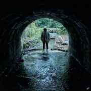 Ghost Stories Gets An Official UK Release Date