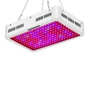 Best LED Grow Lights under $100: the Phlizon 600W Top LED Grow Light