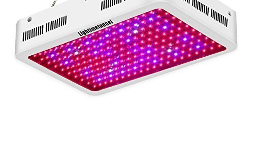 Best LED Grow Lights under $100: the Phlizon 600W Top LED Grow Light