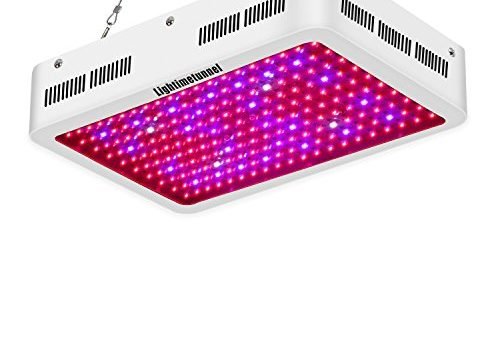 Best LED Grow Lights under $100: the Phlizon 600W Top LED Grow Light