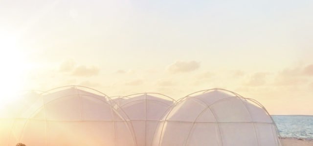 F Y R E — A Netflix Original Documentary