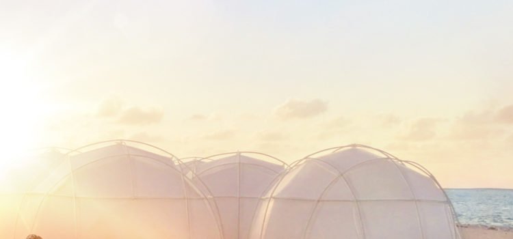 F Y R E — A Netflix Original Documentary