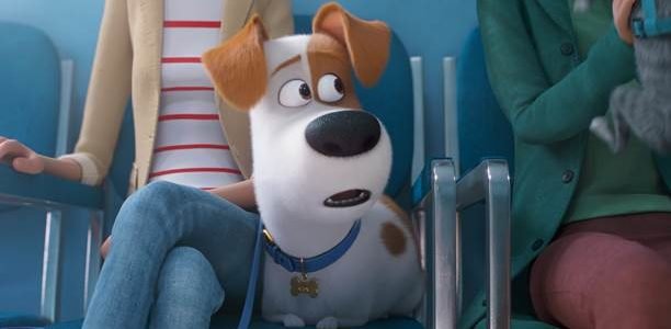 THE SECRET LIFE OF PETS 2 IN UK CINEMAS 24 MAY 2019