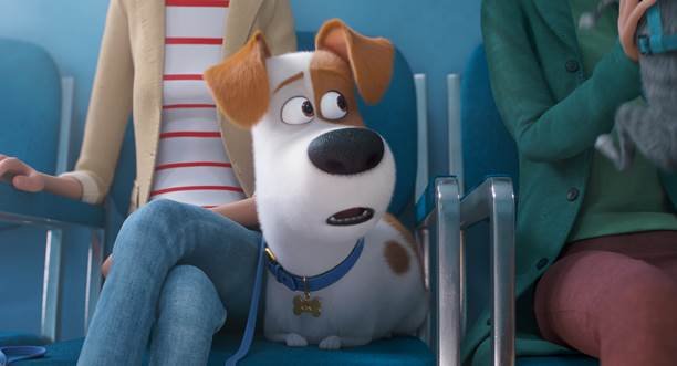 THE SECRET LIFE OF PETS 2 IN UK CINEMAS 24 MAY 2019