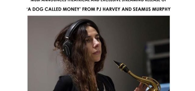 A DOG CALLED MONEY IS AVAILABLE ON MUBI AND IN UK CINEMAS ON 8 NOVEMBER 2019