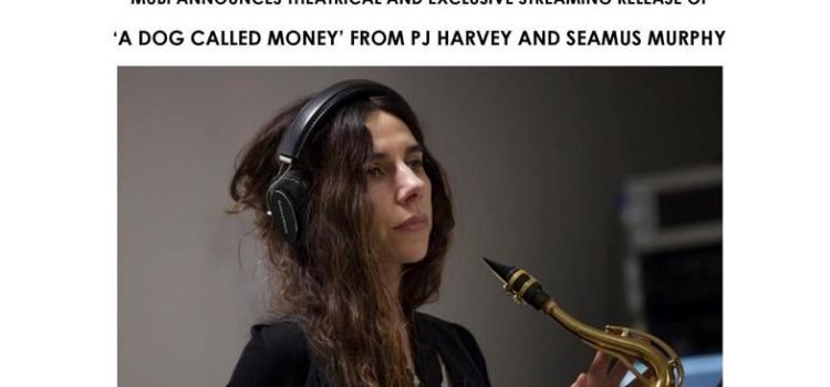 A DOG CALLED MONEY IS AVAILABLE ON MUBI AND IN UK CINEMAS ON 8 NOVEMBER 2019