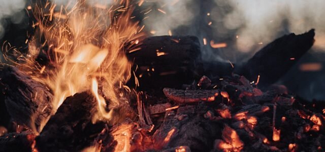 How Historically Accurate is Red Dead Redemption?