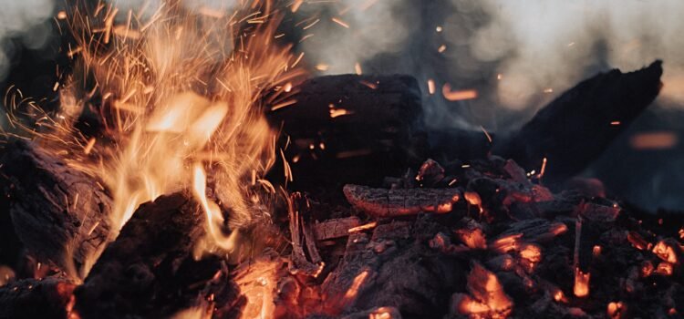 How Historically Accurate is Red Dead Redemption?